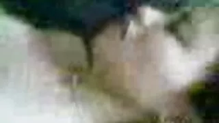 Impressionante puma  ...